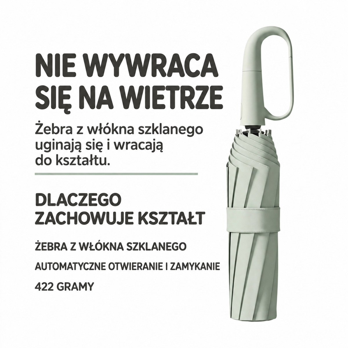 Poolse infographic met kenmerken van de groene stormparaplu